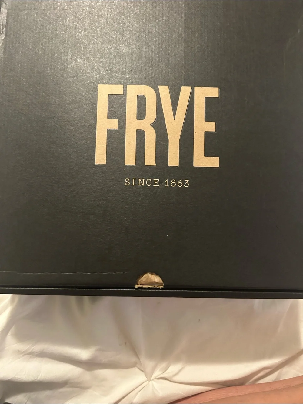 FRYE NWT Olivia Harness Short Boot - Dark Brown Women’s Leather Boot in box